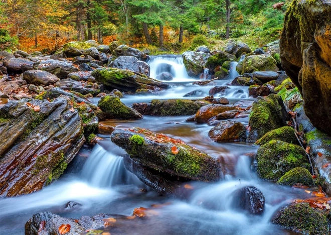 Puzzle Arroyo forestal en otoño 1000 piezas