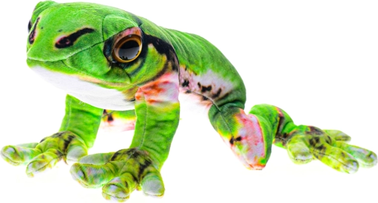 Ranita japonesa de peluche 23 cm