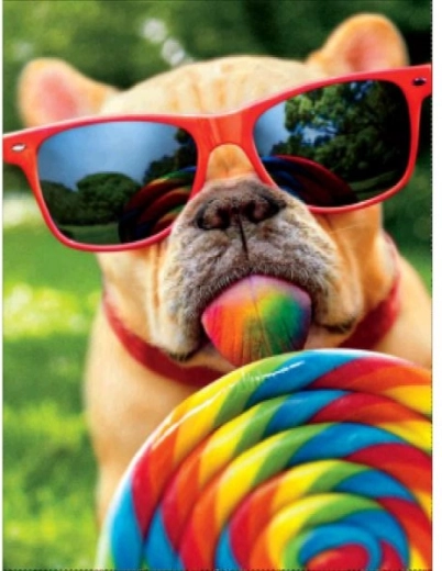 Pintura de diamantes – perro con gafas 30 × 40 cm