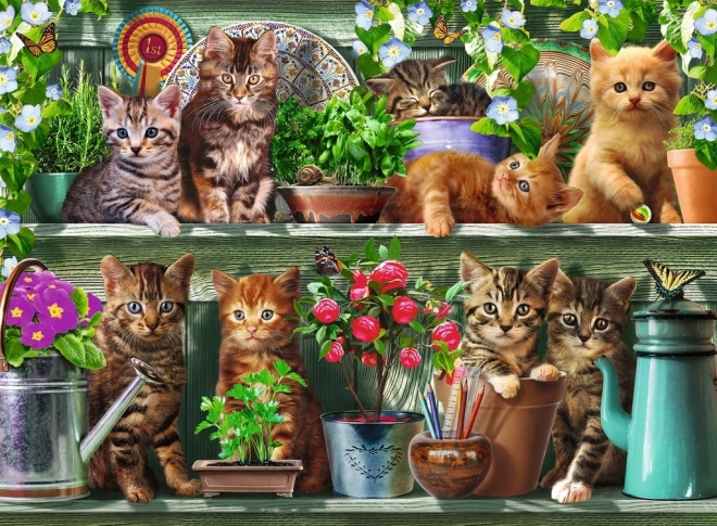 Puzzle de gatos en estanterías 500 piezas