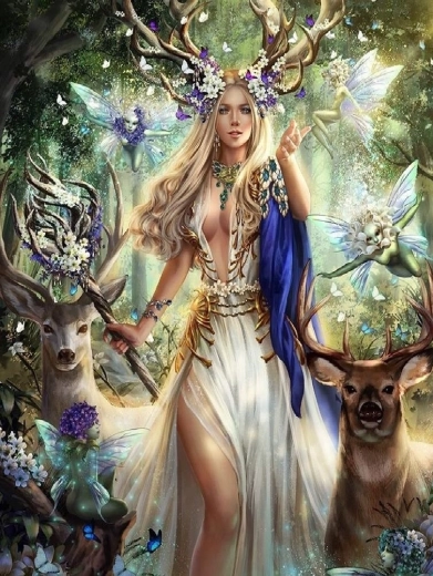 Norimpex pintura de diamantes Mujer del bosque 30 × 40 cm