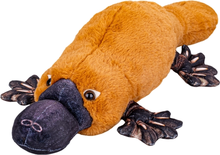 Ornitorrinco de peluche 50 cm – suave y achuchable en posición tumbada