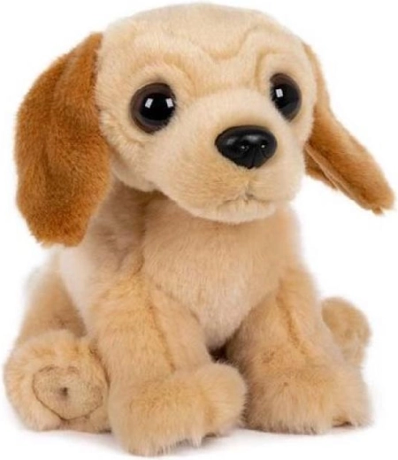 Labrador de peluche sentado 15 × 17 cm