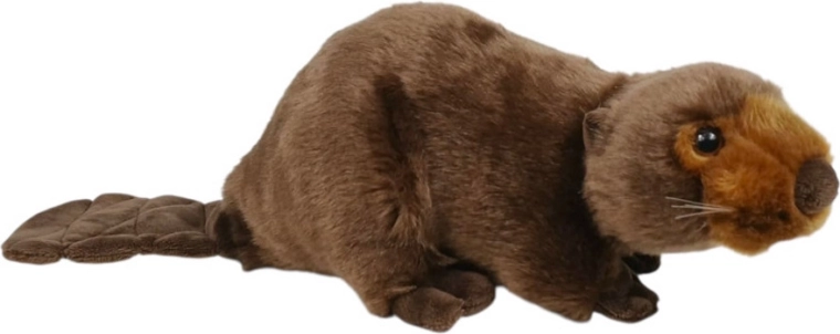 Castor de peluche 26 cm
