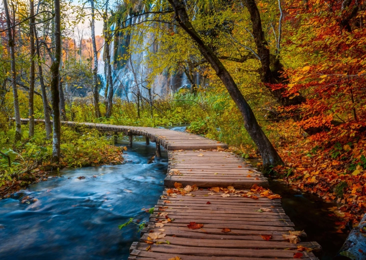 Puzzle Ravensburger Bosque misterioso de 1 000 piezas