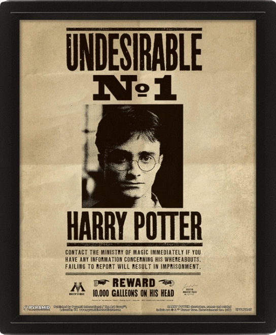 Cuadro 3D Harry Potter - Sirius