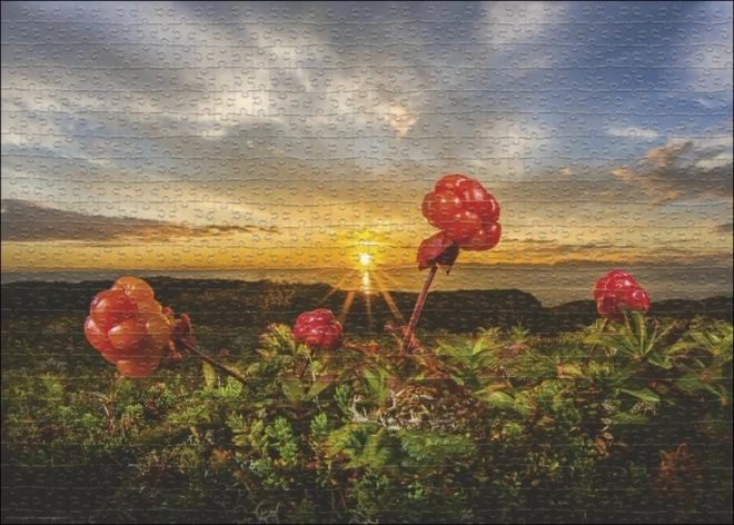 Puzzle Heye Ostružiny Moruška 1000 piezas