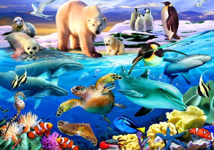 Puzzle Bluebird Océano de vida 1000 piezas