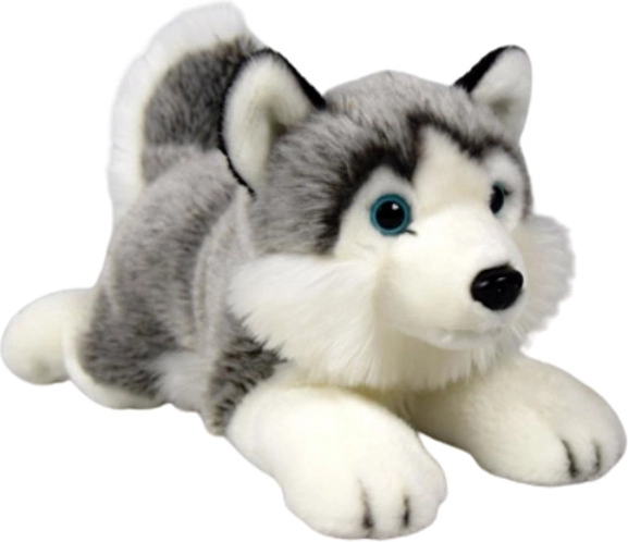 Perro husky de peluche Dubi 27 cm
