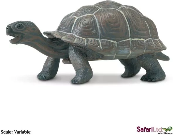 Safari Ltd. figura de cría de tortuga gigante de Galápagos - 1 pieza