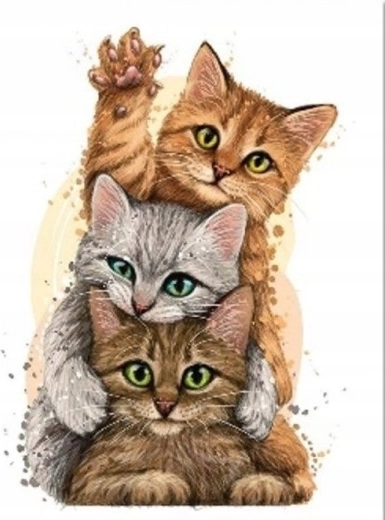 Pintura de diamantes Pirámide de gatos 30 × 40 cm