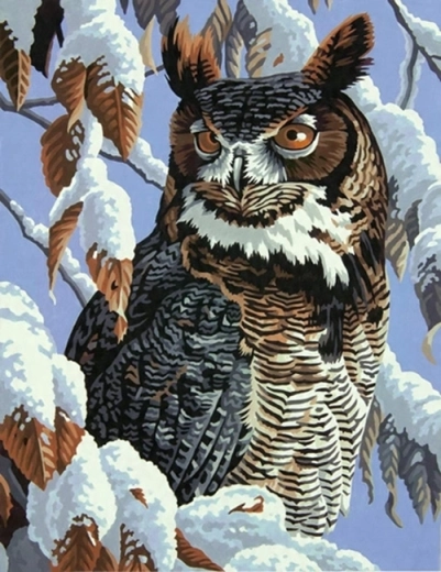 Norimpex Pintura por números Búho en una rama nevada 40 × 50 cm