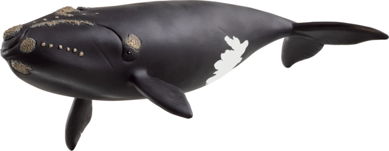 Figura Schleich – ballena franca del Atlántico Norte