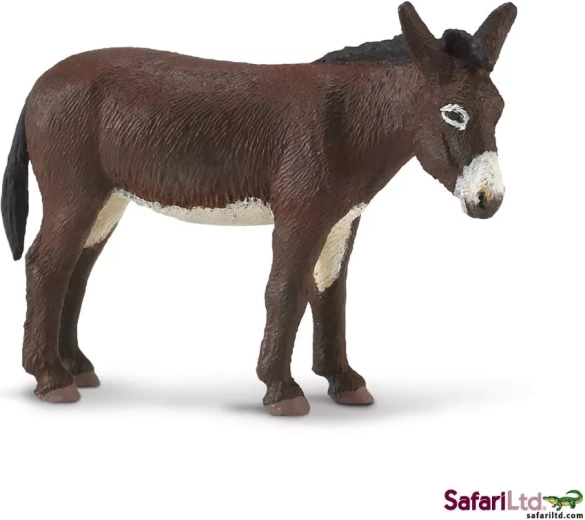 Safari Ltd. asno