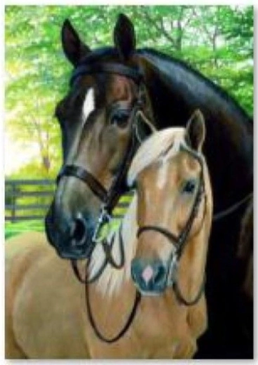 Bordado con diamantes (diamond painting) caballos 30 × 40 cm