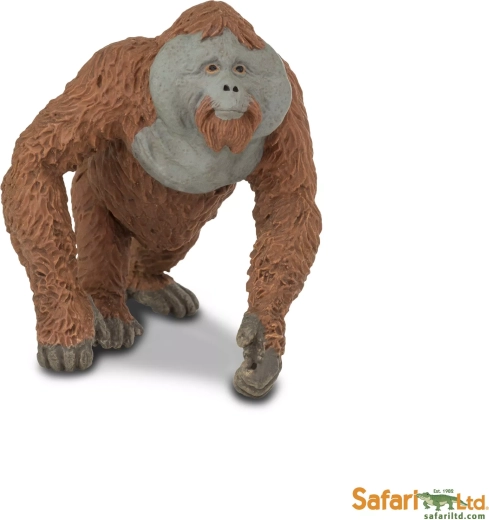 Safari Ltd. orangután - macho