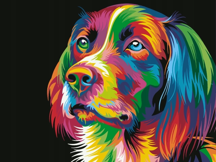 Norimpex Pintura por números Perro colorido 40 × 50 cm