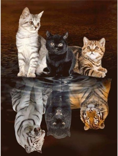 Bordado de diamantes (diamond painting) reflejo en el espejo – tres gatos 30 × 40 cm - 1 pieza