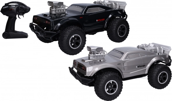 Coche RC con control remoto 48 cm