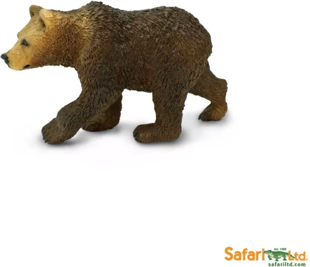 Oso grizzly – cría