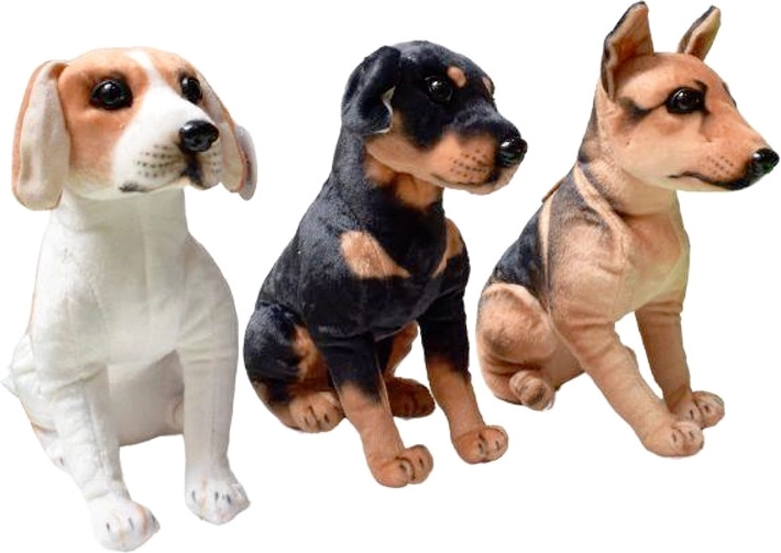 Perro de peluche – razas grandes