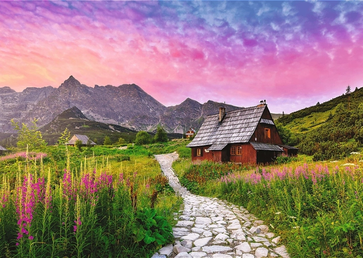 Rompecabezas Trefl Hala Gąsienicowa 500 piezas