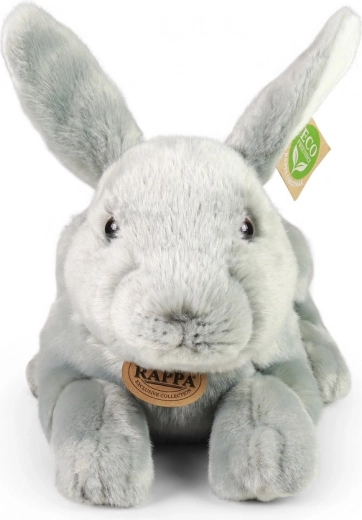 Seguro desde el nacimiento