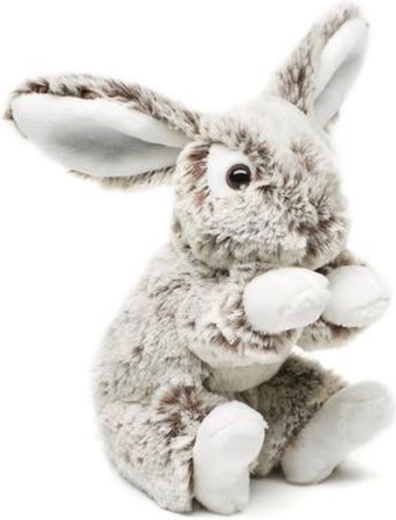 Seguro para niños desde 0+