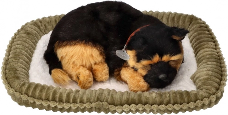 Respiración realista y sueño tranquilo