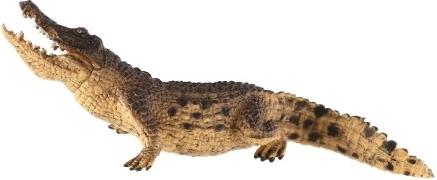 Excelente para aprender y coleccionar