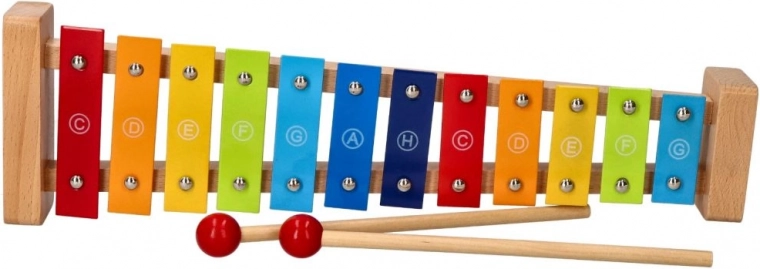 Incluye 2 baquetas y cancionero