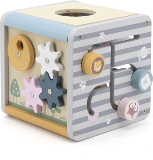 5 actividades educativas en una