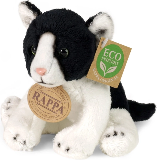 Colección exclusiva RAPPA