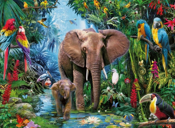Imagen atractiva de la jungla