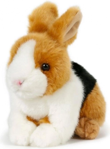 Peluche suave para los mimos más delicados