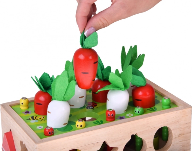 Cosecha de zanahorias y rábanos con hojas de fieltro