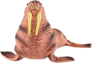 Ideal para colecciones y fines educativos