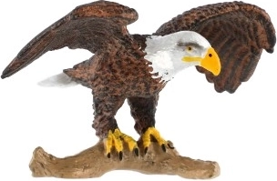 Ideal para educación y colecciones