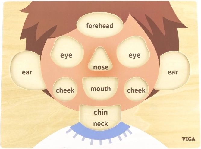 Aprender las partes de la cara jugando