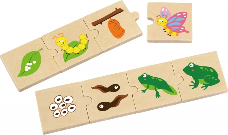 Aprender jugando: ciclos de vida al alcance de la mano