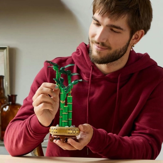 Construcción relajante para adultos