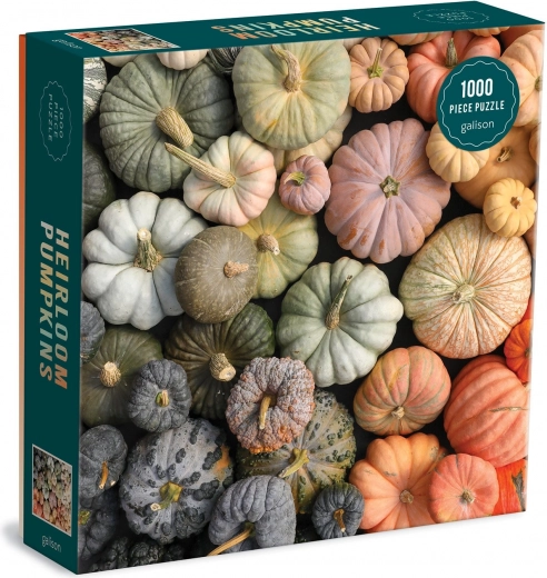 Motivo prémium “Heirloom Pumpkins”