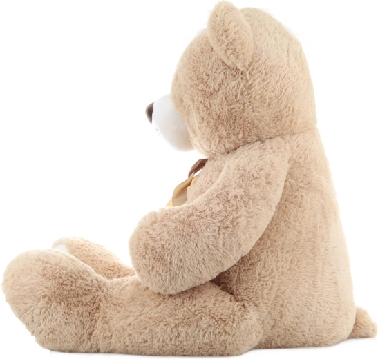 Diseño adorable con lazo