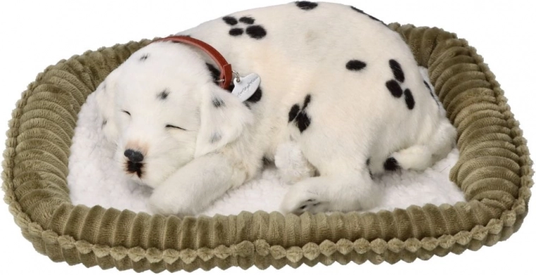 Camita suave para máximo confort