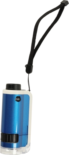 Diversión y aprendizaje en uno