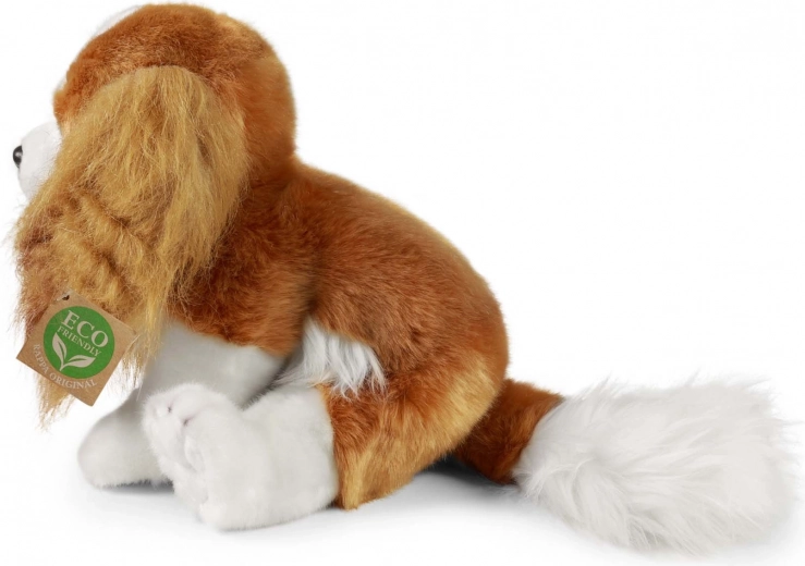 Tamaño ideal de 28 cm para niños