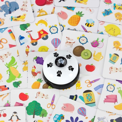 Diversión familiar rápida y emocionante