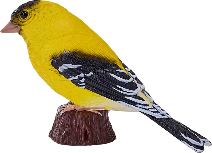 Fiel aspecto del jilguero amarillo