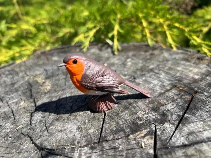 Decoración y recurso educativo