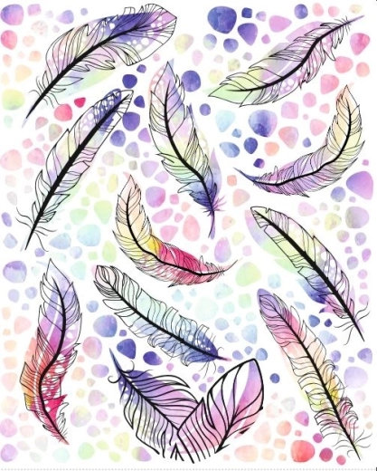 Colores vivos y detalles finos de plumas